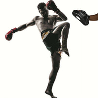 Handpratzen Pratze Boxing Kickboxen 1 Paar
